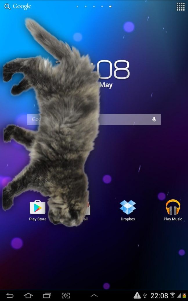 Приложение гулять. Кот бегает по экрану телефона. Гуляющий кот в телефоне. Кот гуляющий по экрану. Котик бегает по экрану.